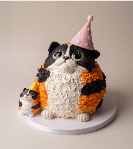 Chubby Calico Cat