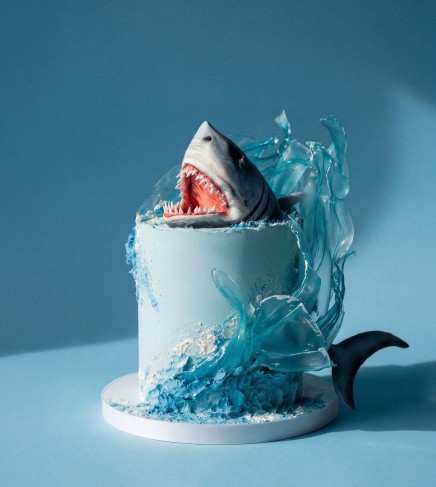 Shark